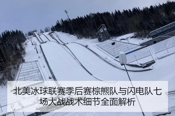 北美冰球联赛季后赛棕熊队与闪电队七场大战战术细节全面解析